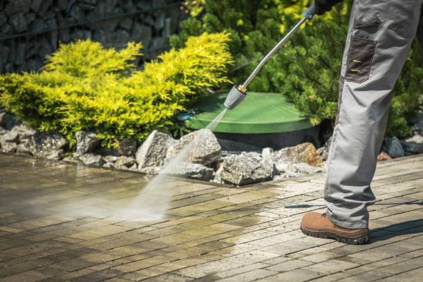 Best Roof Cleaning and Mildew Removal in Sugar City, ID